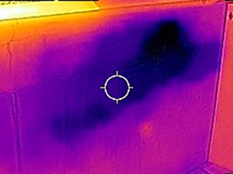 Termovisor